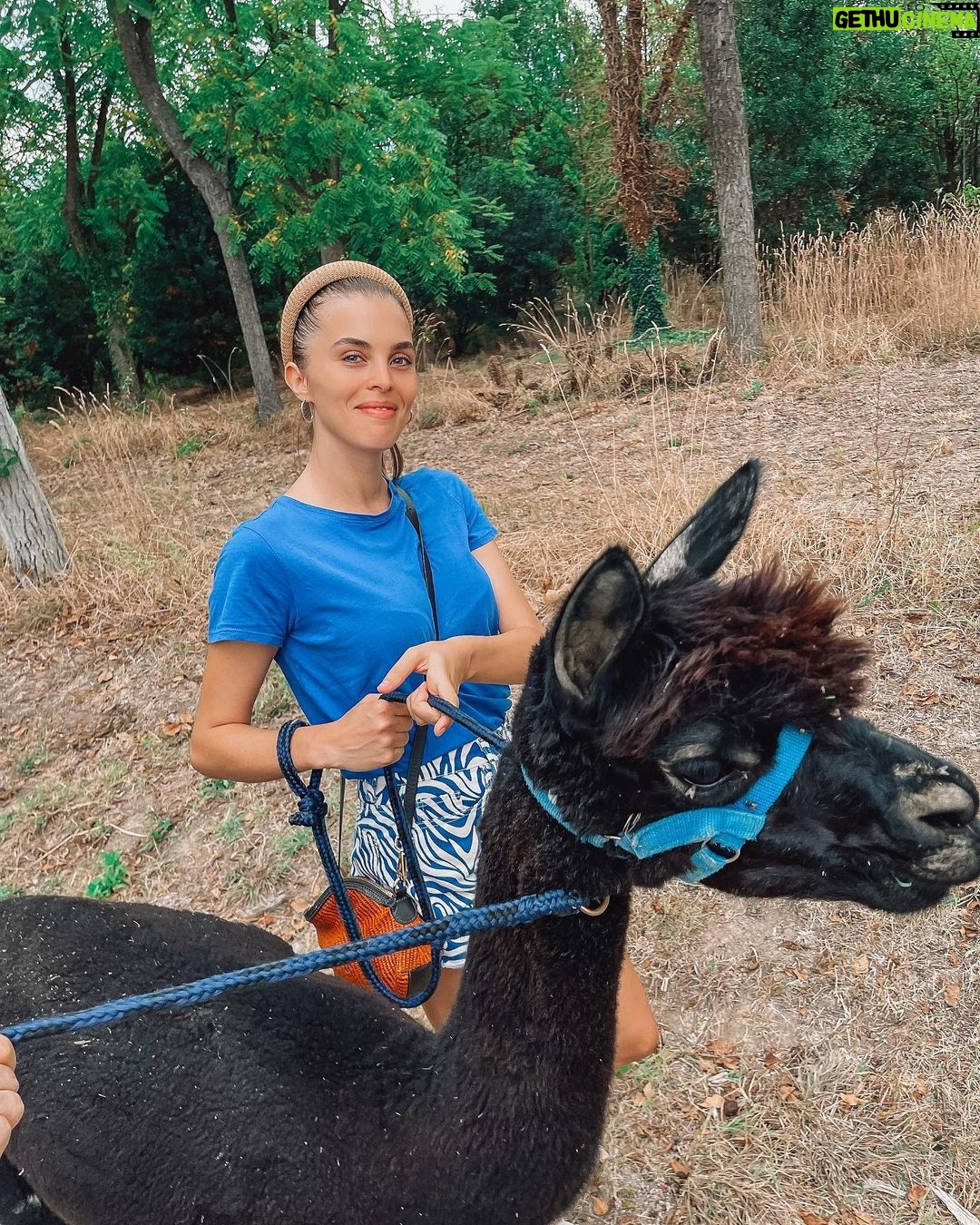 Marina Crialesi Instagram - Oggi avevo un entusiasmo incontenibile!!! Praticamente una bambina al parco giochi. Desideravo tanto una giornata immersa nella natura con gli Alpaca. 🦙 Grazie amore mio per questa giornata bellissima ed indimenticabile ♥️ @nicolo.zenga @ilgiardinodellalpaca siete pazzeschi! Super preparati, attenti e follemente innamorati dei loro Alpaca. Nella prima e nella terza foto c’è Oliver, 🦙 pazzerello. Nella seconda il buffo Paride. Marche, ITALY
