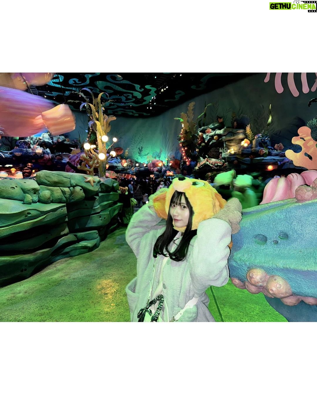 Marina Yamada Instagram - . 🪸🧜🏻♀️𓈒𓂂𓏸 朗読劇のアフタートークのときに言ってたけど この前ディズニーシー行ってきました! クリスマスシーズンのディズニー素敵すぎた🎄.* #ディズニークリスマス #クリスマス #christmas #Xmas #東京ディズニーシー #ディズニーシー #disneysea #disney #クリスマスディズニー マーメイドラグーン (Mermaid Lagoon)