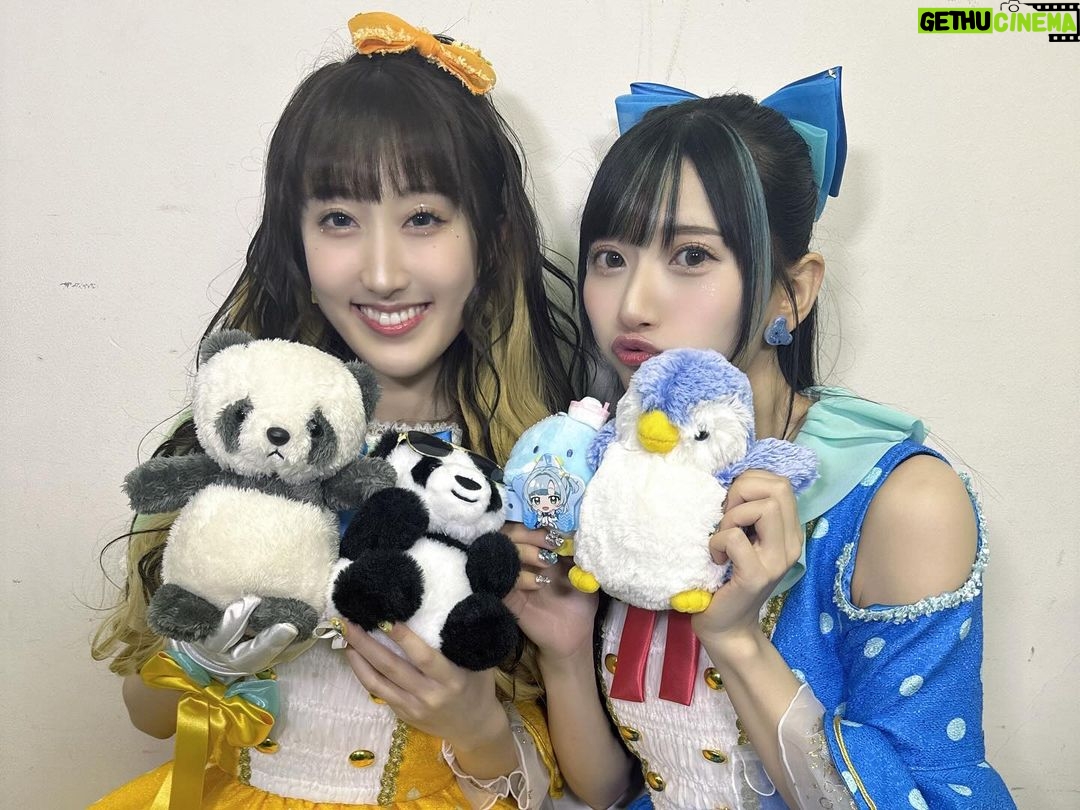 Marina Yamada Instagram - . みんなとのお写真も載せる🧸🩵 ミントくんマカロンちゃんとも撮れました♡ 動きがずっと可愛くてね、 常にファンサしてくれてた♡癒された〜 メンバーはみんなほんとに仲良くてね、 常に楽屋明るくて楽しかったなあ ユニット超えて仲良いのいいよね🥰 みんないい子だし努力家だし優しくてかわいくて そんなみんなを見てモチベーション上げてました!! そんなみんなとステージに立てたことが嬉しかったです♡ これからも2053みんなのこと、見ててね👶🏻