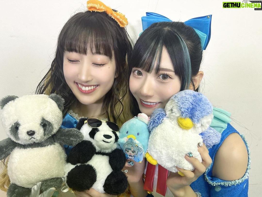Marina Yamada Instagram - . みんなとのお写真も載せる🧸🩵 ミントくんマカロンちゃんとも撮れました♡ 動きがずっと可愛くてね、 常にファンサしてくれてた♡癒された〜 メンバーはみんなほんとに仲良くてね、 常に楽屋明るくて楽しかったなあ ユニット超えて仲良いのいいよね🥰 みんないい子だし努力家だし優しくてかわいくて そんなみんなを見てモチベーション上げてました!! そんなみんなとステージに立てたことが嬉しかったです♡ これからも2053みんなのこと、見ててね👶🏻
