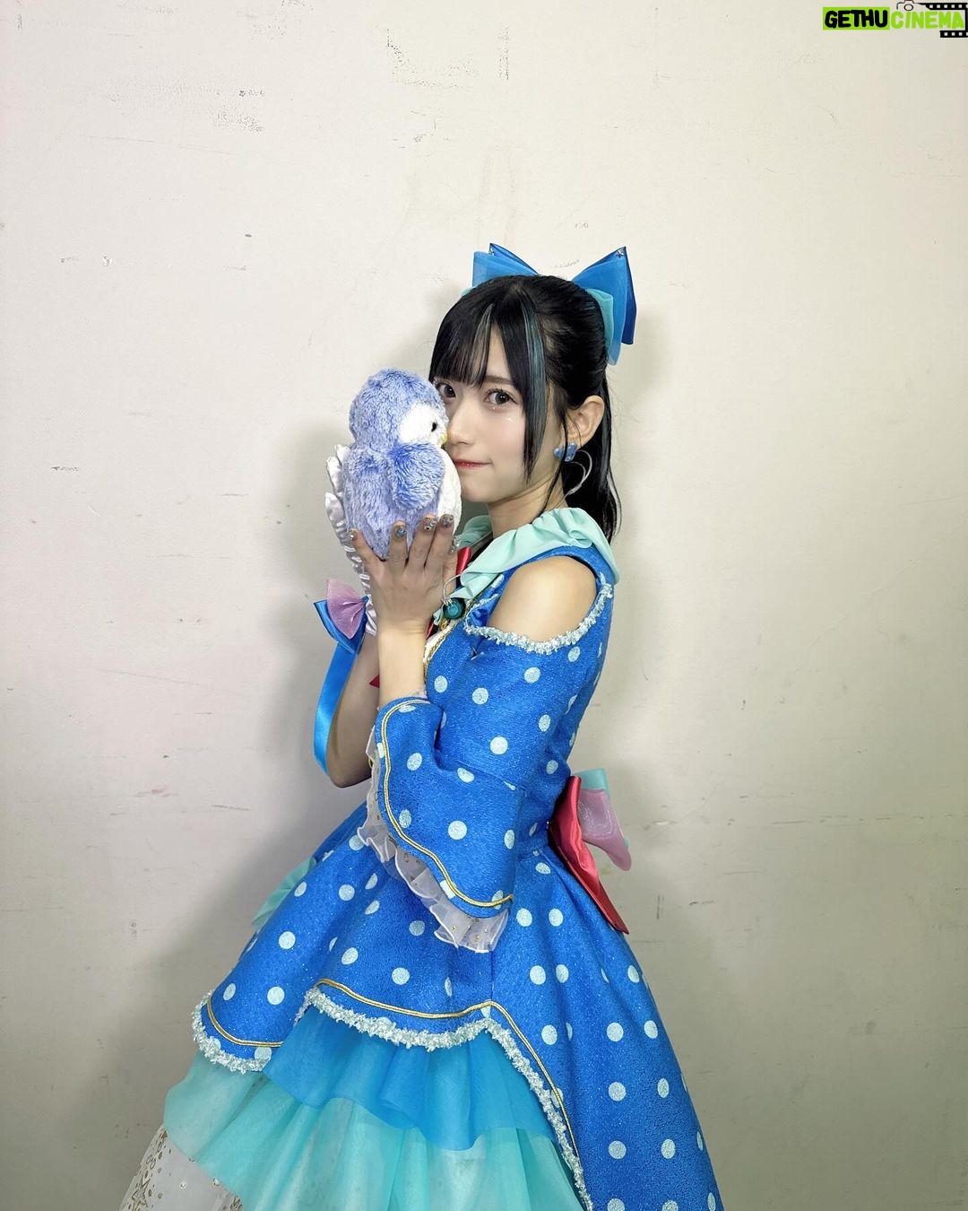 Marina Yamada Instagram - . 改めまして、 「Tokyo 7th シスターズ 2053 2nd Live Brightestar」 DAY1.DAY2 ありがとうございました!🩵💫 会場に来てくださったみなさんも配信で見てくださったみなさんも たくさんSNSを通して感想を送ってくださったり、 1日目終了後書いてくださったお手紙を早速2日目に頂いたりして。 お手紙からもみなさんの文字で感想をいただいて 今日も改めてお手紙読んだら、 ほんとに嬉しすぎて..涙がでてきました😭 みんながそれぞれの思いでわたしたちのことを見ててくださって キャラクターたちへの愛もたくさん伝えてくださって、、 ほんとにね、みんなのおかげで頑張れています。 シオネちゃんが連れてきてくれたこのステージで たくさん、だいすきなシオネちゃんの魅力を届けたいとおもいながら、 わたしの精一杯のパフォーマンスを届けさせて頂きました🫧 届いたかな? どの曲も大事で大好きで、 歌詞も曲調もAsterlineらしさ全開で、 1曲1曲進んでいく度、みんなの上がっていく熱量が感じられて 本当に楽しい時間だったなあ。🩵 本番迎えるまでは初めての声出しOKのライブという緊張と、 2ndライブを迎える緊張と、 Asterlineでスタートを切る緊張と、、 ほかにもいろんな緊張があったけど、 幕が落ちて支配人さんたちのお顔見たら吹っ飛びました!!!✨️笑 楽しく笑顔でステージに立てたことがいちばん嬉しかった! ほんとーーーーーーーに、関わってくださったみなさんのおかげです。 みんなだいすきです。 いつもありがとう、そしてこれからもナナシスを、 2053をよろしくお願いします! またすぐみんなに会えますようにっ🐧🩵 朝凪シオネ役 山田麻莉奈 #t7s #ナナシス #t7sBrightestar 江戸川区総合文化センター 大ホール