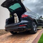 Mario Casas Instagram - Ella ya no sabe como decirme que quiere salir!😂😂 #maseratilevantegransport #EnCasaConMiMaserati #quédateencasa