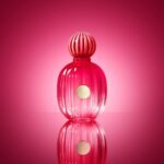 Mario Casas Instagram - ¡The ICON Woman ya está aquí! Descubre la nueva versión del éxito femenino con: @agathaamoreiraa @millarayviera @stefroitman @antoniobanderas SUCCESS IS AN ATTITUDE. #THEICONwoman #BANDERASperfumes #THEICONattitude