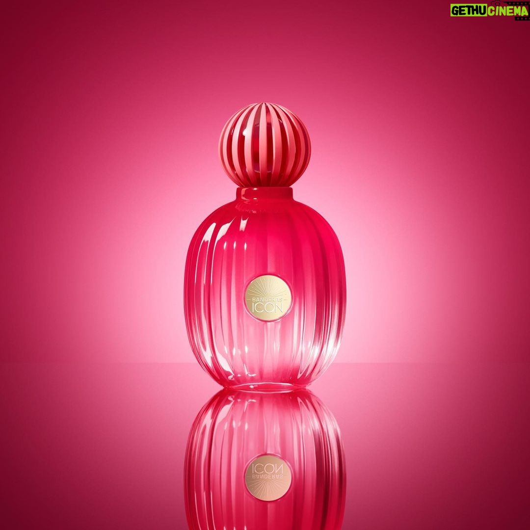 Mario Casas Instagram - ¡The ICON Woman ya está aquí! Descubre la nueva versión del éxito femenino con: @agathaamoreiraa @millarayviera @stefroitman @antoniobanderas SUCCESS IS AN ATTITUDE. #THEICONwoman #BANDERASperfumes #THEICONattitude