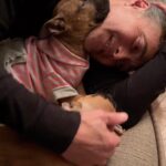 Mark Dacascos Instagram - The joy our family has when @juliedacascos fosters puppies from @wagmorpets These two girls need their forever homes. 🙏🏽❤️🤙🏽 #adoptdontshop #unconditionallove #innocence