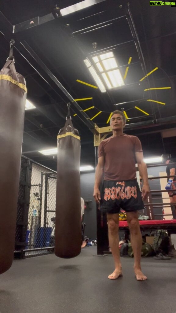 Mark Dacascos Instagram - Aloha and happy weekend! I hope you’re well. After taking a class, jumping rope and some light bag-work, I end my training with a few basic movements. #breathe #gratitude #joy