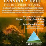 Mark Dacascos Instagram – Lahaina, Maui #firerecovery Repost from @lahuifoundation
•
By continuing to support our Maui Ohana, Lāhui Foundation will be collecting monetary donations. Your donations will go directly towards fire recovery efforts for residents of Maui who have been  effected by the destructive fire in Lāhainā

#lahaina #lahainamaui #hawaii #maui #fire #firerecovery #alohaaina #lahui #lahuifoundation #808