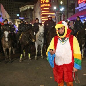 Mark DeCarlo Instagram - Nothing says “Mardi Gras is over” like a drunk in a parrot suit leading a low speed chase down #bourbonstreet. Wonder what this pecker flashed to get his beads?  Next stop- JAZZFEST #50! #nola