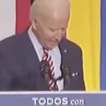 Mark DeCarlo Instagram - Yaaaaaaaaassssss!!!! #bidenharris2020 #kamalaharris #madamvicepresident #yourefired #yourefired2020