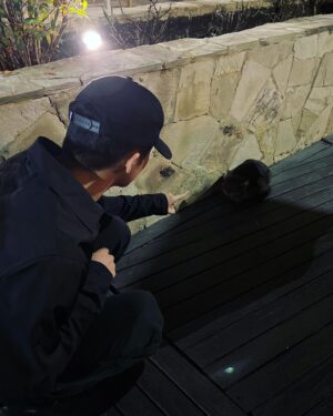 Mark Lee Instagram - #santiago