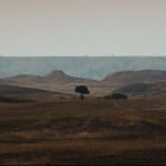 Mark Ruffalo Instagram - Just six more days until @lakotanationfilm has its first of three screenings at #PSIFF2023! In this film, you’ll see that the Lakota people are a resilient nation fighting for what is rightfully theirs, despite the generational trauma inflicted by America’s dark past. It’s harrowing to see how the treatment of Indigenous people has not improved. This cycle must end. Be sure to visit the link in my bio to reserve your tickets.