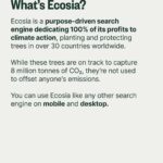 Mark Ruffalo Instagram - Have you joined the climate justice movement yet? @solutions.project works with frontline communities across the US, and you can support them and their grantee partners by switching your search engine to @ecosia, a free green search engine dedicating 100% of its profits to climate action. For one month, any additional Ecosia profits in the US are going directly to The Solutions Project. We’re making progress for the planet, and you can be part of it 🌎💚 Switch to Ecosia at ecosia.co/mark or at the link in bio #climatejustice #ecosiaxthesolutionsproject