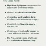 Mark Ruffalo Instagram - Have you joined the climate justice movement yet? @solutions.project works with frontline communities across the US, and you can support them and their grantee partners by switching your search engine to @ecosia, a free green search engine dedicating 100% of its profits to climate action. For one month, any additional Ecosia profits in the US are going directly to The Solutions Project. We’re making progress for the planet, and you can be part of it 🌎💚 Switch to Ecosia at ecosia.co/mark or at the link in bio #climatejustice #ecosiaxthesolutionsproject