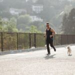 Mark St. Cyr Instagram - Running with wolves 🐺 And by wolves I mean adorable white floof balls 🐩 📸 @by.kyoko Silver Lake