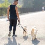 Mark St. Cyr Instagram - Running with wolves 🐺 And by wolves I mean adorable white floof balls 🐩 📸 @by.kyoko Silver Lake