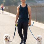 Mark St. Cyr Instagram - Running with wolves 🐺 And by wolves I mean adorable white floof balls 🐩 📸 @by.kyoko Silver Lake