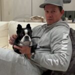Mark Wahlberg Instagram - Our Lola ❤️🥰 @municipal @arthurthekingmovie 🐶 Only in theaters March 15th❤️🐶 #MunicipalPartner