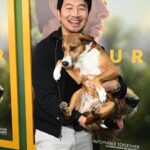Mark Wahlberg Instagram - Ukai and Arthur looks incredible similar, like twins. It’s not only the look, they walk the same and both have the same extreme calm and spiritual wisdom. Arthur the King, is not your average movie about a dog. It’s a story how life can change in one wind beat and what can happen if you keep fighting and don’t give up. The special Screening with a Dog and Family festival at Westfield Century City from Lionsgate was a fantastic event to celebrate an incredible story with most of the cast and even @simuliu brought @miperrachopa🐕❤️ Arthur the King is on theaters March 15.