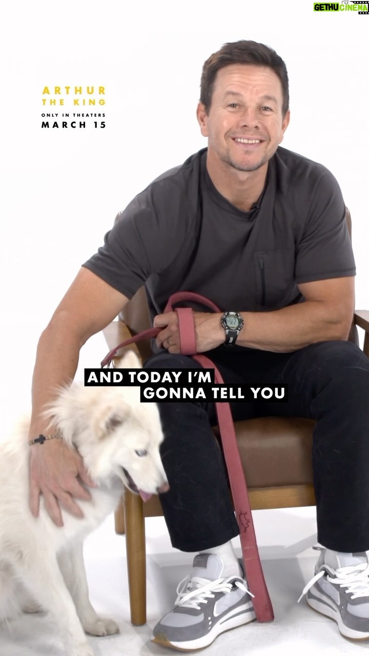 Mark Wahlberg Instagram - Celebrate #ArthurTheKingWeek with the leader of the pack, @markwahlberg.