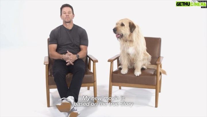 Mark Wahlberg Instagram - Life’s a journey and it’s better with a Best Friend at your side. @bestfriendsanimalsociety has teamed up with @arthurthekingmovie to raise awareness about the importance of pet adoption. Adopt your new adventure buddy at your local shelter and let your story begin. To learn more, see link in bio. #ArthurTheKing is in theaters everywhere on March 15th #savethemall #ArthurTheKingWeek #sponsored