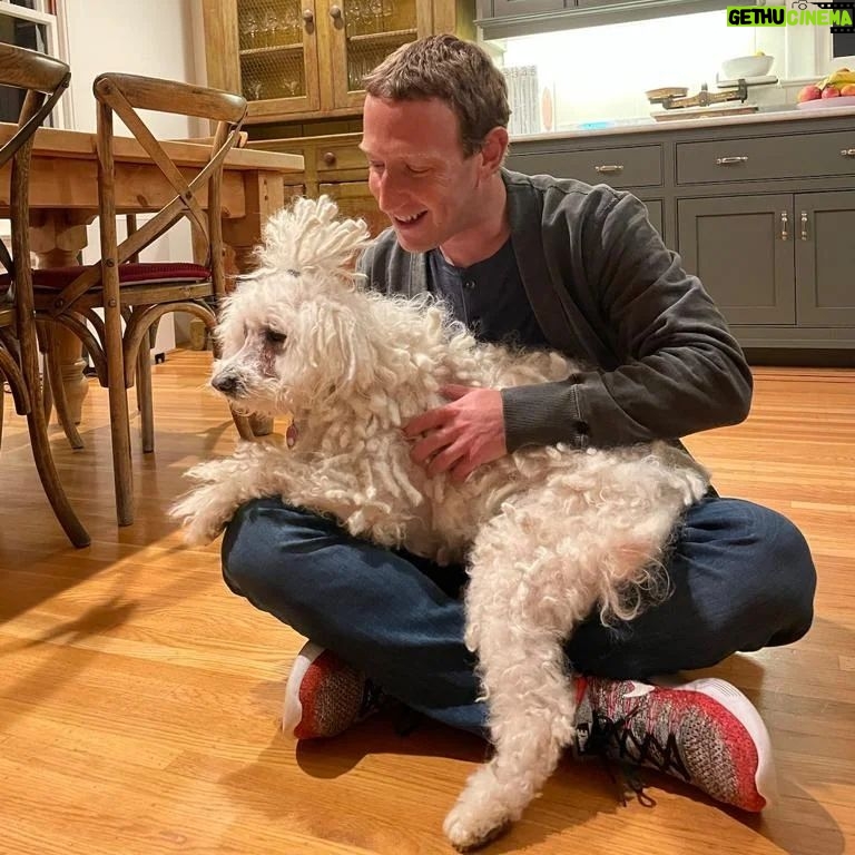 Mark Zuckerberg Instagram - Gave Beast a haircut 😂