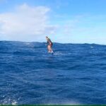 Mark Zuckerberg Instagram - Downwind for days -- and Merry Christmas!