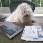 Mark Zuckerberg Instagram - Working from home