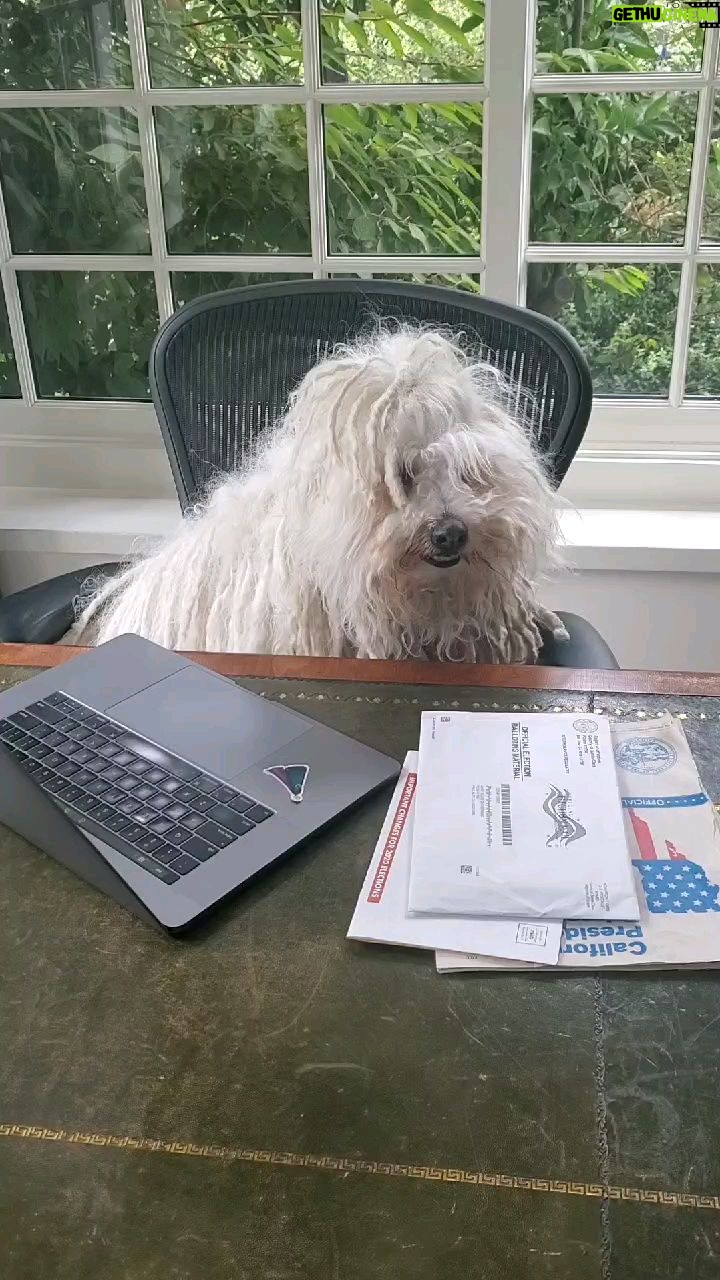 Mark Zuckerberg Instagram - Working from home