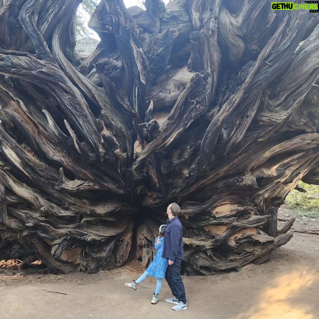 Mark Zuckerberg Instagram - Dad-daughter road trip to see the giant sequoias this weekend. Pretty amazing 2000+ year old trees.