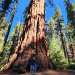 Mark Zuckerberg Instagram – Dad-daughter road trip to see the giant sequoias this weekend. Pretty amazing 2000+ year old trees.