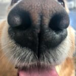Markiplier Instagram - SNORF