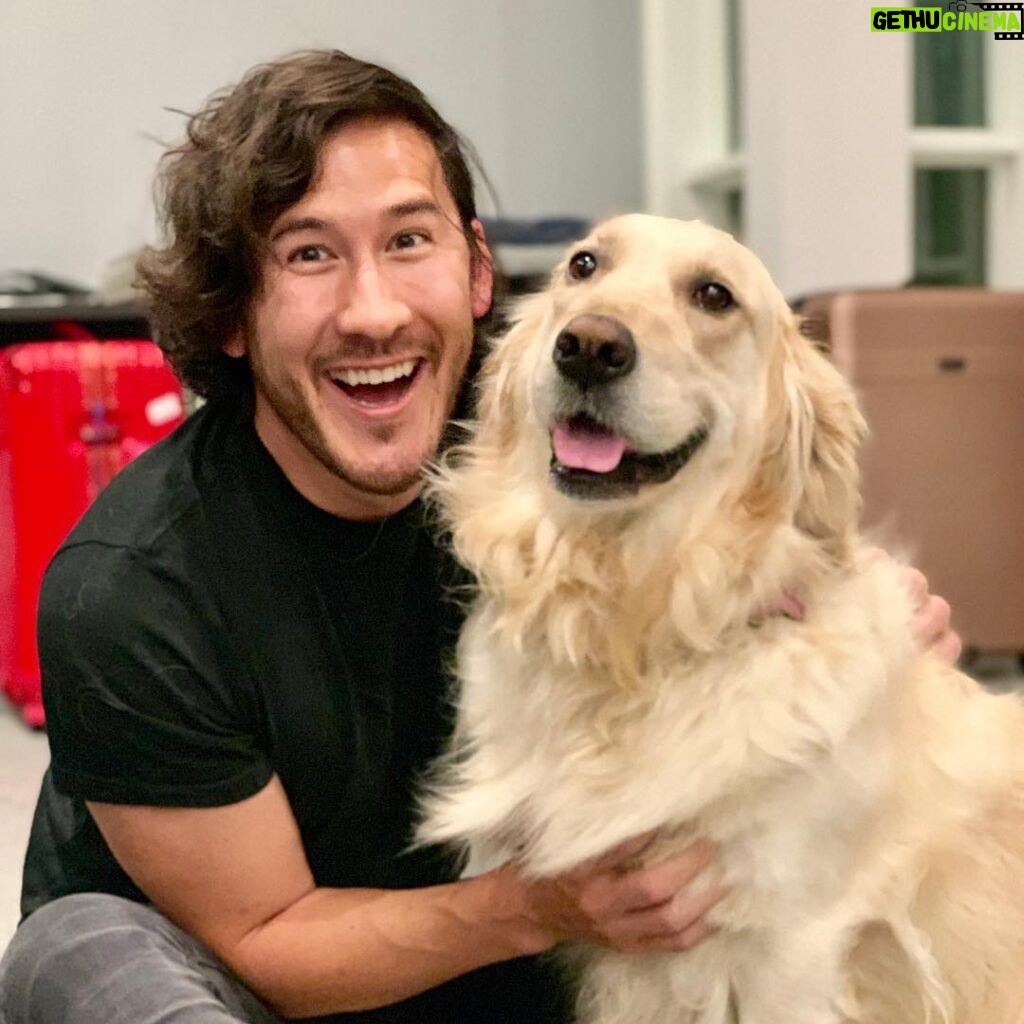 Markiplier Instagram - Happy 3 year anniversary to the greatest bub to ever lub! Thank you Chica for bringing me endless joy and endless poops!