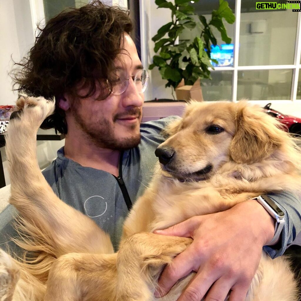 Markiplier Instagram - I love these bubs with all my everything