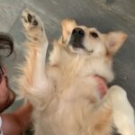 Markiplier Instagram - I missed Chica SO MUCH!!