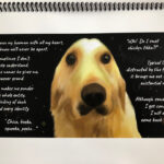 Markiplier Instagram - Amy organized a project with a bunch of artists/authors (captioned on image 10) to make me the best birthday present I’ve ever seen. It’s a book written by Chica about her “Number One Hooman” For those of you who don’t know Amy is the absolute best at gifting in the entire world and this was the most heartwarming present I could have ever asked for. I love my girls so damn much! Not all pages were able to fit in this post but I wanted to share what I could!