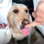 Markiplier Instagram - *boop*
