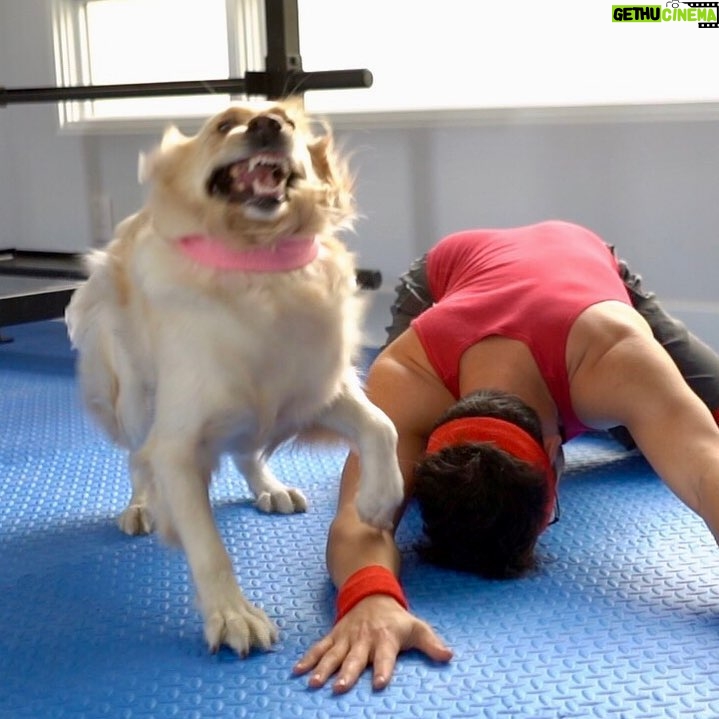 Markiplier Instagram - ViCIoUS bEAsT MuRderS mAN aNd ThiRSTs FoR BloOD