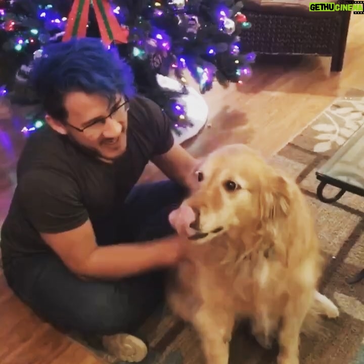 Markiplier Instagram - I’m heartbroken. Today at 9:30am Buddi, the beautiful wonderful amazing dog that I grew up with, passed away. I had planned to drive Chica home with me for Christmas this Saturday so the two of them could meet but time just wasn’t on our side. But even if they never got the chance I know that they would have the very best of friends. I will never forget her for as long as I live.