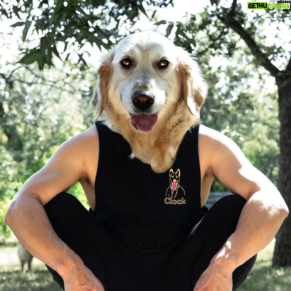 Markiplier Instagram - The Dog Days by @_liamcobb_ available now at cloakbrand.com