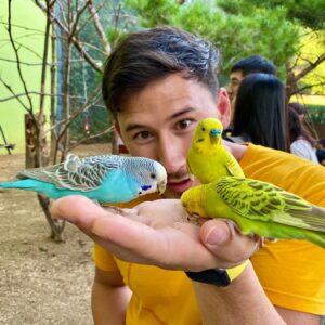 Markiplier Instagram - A BONANZA