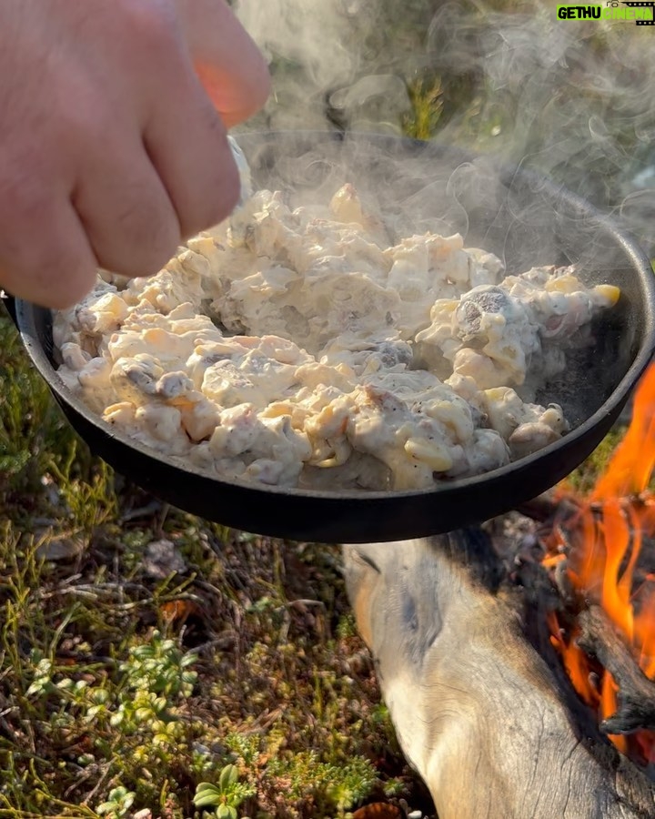 Marko Lehtosalo Instagram - Dag 2 Vi vaknade rätt tidigt i stugan och tog båten längre upp på älven mot ett stort berg/fjäll. Dimman låg tät, solen gick upp och månen lös. Storslagen vy. Låga fick några ståndskall men fågeln ville inte sitta kvar några längre stunder. Vi satte oss ner och värmde upp Daniels magnifika tjädergryta han gjorde till middag dagen innan med min tjäderhöna i. Över öppen eld i en stekpanna. Bland det godaste jag ätit. Dags för Veli att äntra scenen. Vi går och går. Kroppen är sliten men gnäller ingenting eftersom det inte är till nån nytta. Plötsligt börja skogen eka av Velis skall. Han har nästan tagit sig upp till gränsen där kalfjället börjar. Så vi sliter oss upp för fjället. Med blodsmak i munnen och sinnes till mjölksyra i benen når vi till slut fram. Ålar och spanar rätt lång tid tills den uppdagas. En tjäderhöna till. Allt gick bra och hönan las i säcken. 2 tjäderhönor och en öring blev på denna resa. Stort tack Daniel & Emil. Hatten av för finnspetsarna Veli & Låga. Grymt jobbat ❤️ Vågade inte stänga dörren till dasset ifall att björnen skulle flyga på mig. Livrädd 😅 🐻 @daniel_myrestam @langtbortfranstan