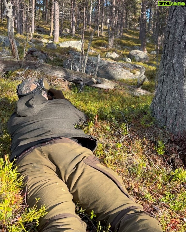 Marko Lehtosalo - 10.3K Likes - Tjäderäventyret 2022 började med att vi åkte till en stuga dit inga bilvägar finnes. Jag Daniel och Emil dundrade över piteåälven med liten båt med livet som insats.
Efter installation i stugan var det dags för jakt.
Finnspetsen Låga fick fint ståndskall och uppgiften var allvarlig -Känn ingen press men vi behöver den som middag. Jag bommade såklart. Tankar som att jag är inte värd att vara här. Skicka hem mig, jag är inte värd att vara i ert sällskap. Jag plockar svamp istället. Mitt vapen är trasigt. Kikarsiktet är felinställd osv. Totalt mörker.
Efter en stund får Låga upp ståndskall nr 2. Smög som en skogsninja. Hittar fågeln och träffar fint. Middagen fixad, plötsligt var jag fågeljägare nr 1 och frågade om grabbarna ville ha tips om just fågelsjakt. På vägen hem fiskade jag även upp en öring. Perfekt som förrätt.
1 mils promenad i kuperad terräng avverkades idag. Finska gubbens kropp är trasig. Nu sova och imorrn är det på’t igen. Tystnaden är stundtals så brutal att mina tinnitusskadade öron skriker. Men det gör inget. Älskar att vara här. Tack Daniel och Emil ❤️ #arjeplog @daniel_myrestam @langtbortfranstan
Förresten bespara mig massa babbel om du inte gillar jakt. Avfölj gärna istället 🙏🏼 Kommer radera och blockera om det sker.