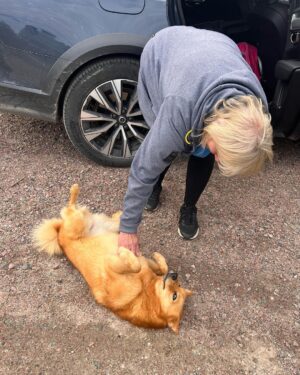 Marko Lehtosalo Instagram - Arjeplog 🫶🏻

Marko&Irma säsong kaksi.

Tack för intensiva underbara dagar Megan, Alma, Mamma, Lill Emil, Stor Emil, Daniel, Pelle, Veli, Låga, Jonathan, Sebastian och renarna Vaggi och Saga ❤️
