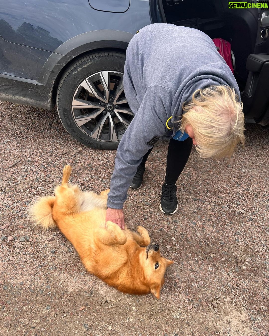Marko Lehtosalo - 13.2K Likes - Arjeplog 🫶🏻
Marko&Irma säsong kaksi.
Tack för intensiva underbara dagar Megan, Alma, Mamma, Lill Emil, Stor Emil, Daniel, Pelle, Veli, Låga, Jonathan, Sebastian och renarna Vaggi och Saga ❤️