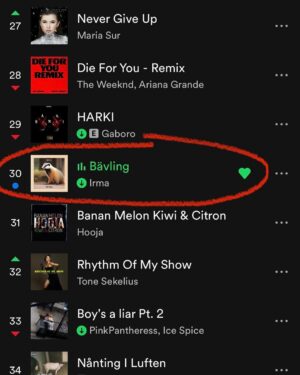 Marko Lehtosalo Instagram - Grattis mamma som dundrar in på 30:e plats på Spotify topp 50 med sin låt Bävling. 💃🏻 🪩 🕺🏼

Ingenting förvånar mig längre. 🤣

@irmalehtosalo