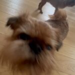 Marko Lehtosalo Instagram - Bävling