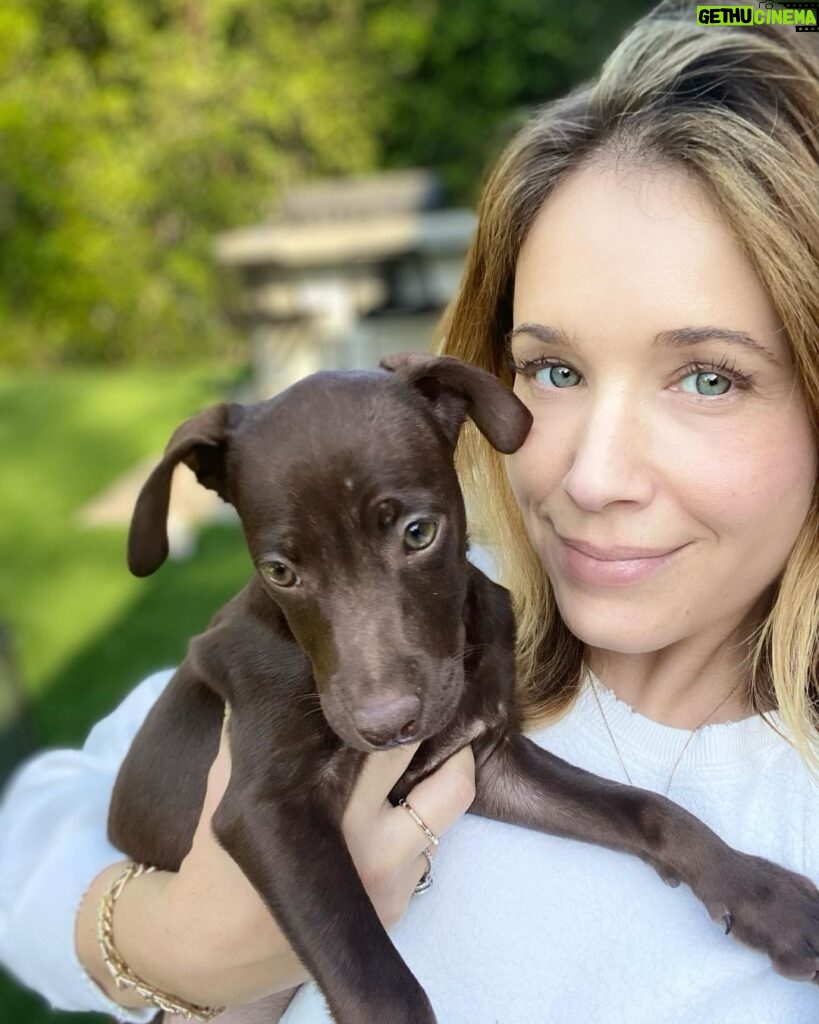 Marla Sokoloff Instagram - ❤Welcome to our family Rosie! ❤ Thank you to @thelabellefoundation for rescuing this sweet babe, we love her so much already! Swipe for the surprise of my girls’ life!