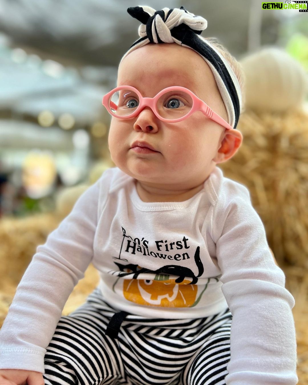 Marla Sokoloff Instagram - 🎃 First patch experience for my sweet baby pumpkin. OG pumpkins had fun too. 🎃 Toluca Lake Pumpkin Festival / Christmas Trees