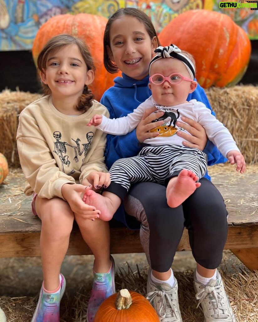 Marla Sokoloff Instagram - 🎃 First patch experience for my sweet baby pumpkin. OG pumpkins had fun too. 🎃 Toluca Lake Pumpkin Festival / Christmas Trees