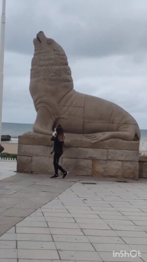 Martín Fabio Instagram - 🎶y si no me encontrás🎶 #mardelplata #laperladelatlantico #lafeliz 😀 @mardelenbici